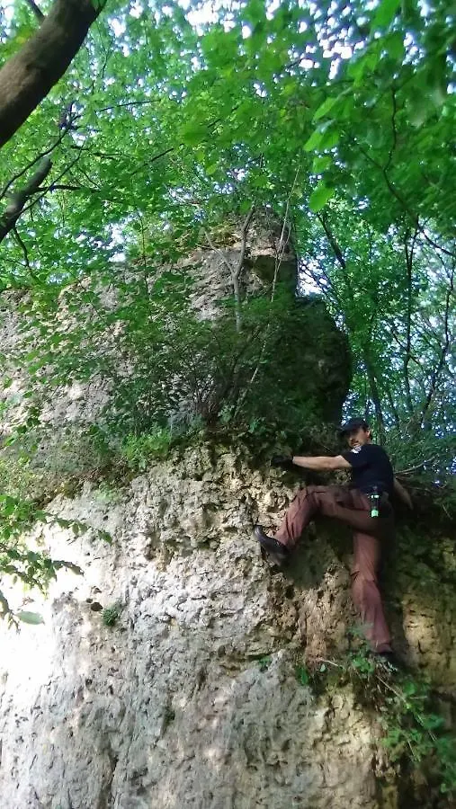Ferienhaus Zum Berg Neuhaus an der Pegnitz